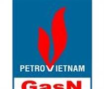PVG: Báo cáo tài chính quý 1/2025
