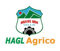 HNG: Báo cáo thường niên 2024