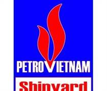 PVY: Báo cáo tài chính quý 1/2025