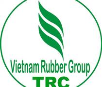TRC: Giải trình chênh lệch LNST quý 1/2025 so với cùng kỳ năm trước