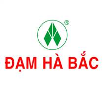 DHB: Giải trình liên quan đến Báo cáo tài chính năm 2024