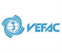VEF: Báo cáo tài chính quý 1/2025