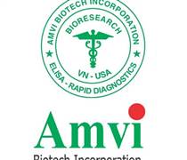 AMV: Báo cáo thường niên 2024