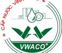 VLW: Báo cáo tài chính quý 1/2025