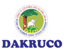 DRG: Báo cáo tài chính quý 1/2025