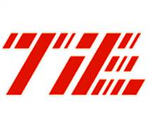 TIE: Báo cáo thường niên 2024