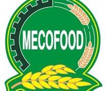 MCF: Báo cáo tài chính quý 1/2025