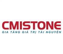 CMI: Báo cáo tài chính quý 1/2025 (công ty mẹ)