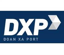 DXP: Báo cáo tài chính quý 1/2025