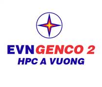 AVC: Báo cáo tài chính quý 1/2025