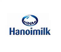 HNM: Báo cáo tài chính quý 1/2025