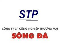 STP: Báo cáo tài chính quý 1/2025