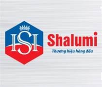 NSH: Báo cáo tài chính quý 1/2025