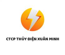 XMP: Báo cáo tài chính quý 1/2025