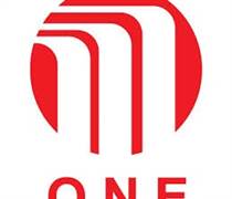 ONE: Báo cáo tài chính quý 1/2025