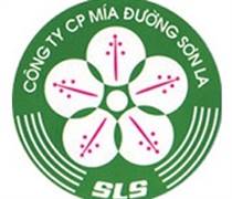 SLS: Báo cáo tài chính quý 3/2025