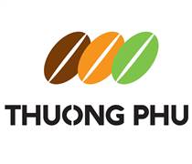 CTP: Báo cáo tài chính quý 1/2025