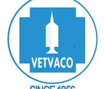 VXP: Báo cáo tài chính năm 2024