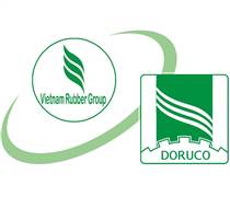 DPR: Giải trình KQKD riêng quý 1/2025 so với cùng kỳ năm trước