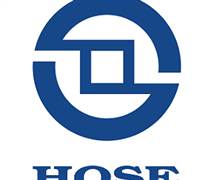 DSE: Nghị quyết HĐQT về việc phát hành cổ phiếu ESOP năm 2025