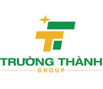 TTA: Giải trình chênh lệch LNST BCTC TH quý 1/2025 so với cùng kỳ năm trước
