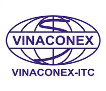 VCR: Báo cáo tài chính quý 1/2025