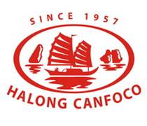 CAN: Báo cáo tài chính quý 1/2025 (công ty mẹ)