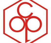 OPC: Giải trình biến động KQKD quý 1/2025 so với cùng kỳ năm trước