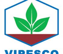 VPS: Giải trình biến động lợi nhuận BCTC quý 1/2025 so với cùng kỳ năm trước