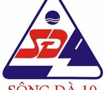 SDT: Báo cáo tài chính quý 1/2025
