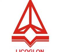 LQN: Giải trình ý kiến kiểm toán BCTC năm 2024
