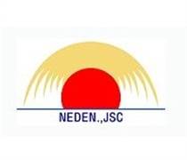 NED: Báo cáo tài chính quý 1/2025