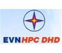 DNH: Báo cáo tài chính quý 1/2025 (công ty mẹ)