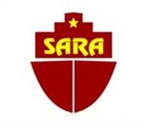 SRA: Báo cáo tài chính quý 1/2025