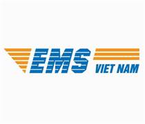 EMS: Báo cáo tài chính quý 1/2025