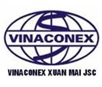 XMC: Báo cáo tài chính quý 1/2025 (công ty mẹ)
