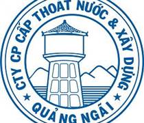 QNW: Báo cáo tài chính quý 1/2025 (công ty mẹ)