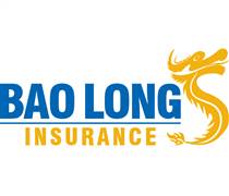 BLI: Đính chính Báo cáo tài chính quý  1/ 2025