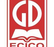 ECI: Báo cáo tài chính quý 1/2025