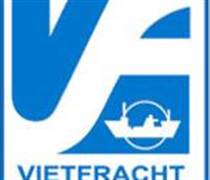 VFR: Báo cáo tài chính quý 1/2025
