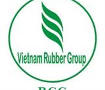 RCD: Nghị quyết Đại hội đồng cổ đông thường niên năm 2025