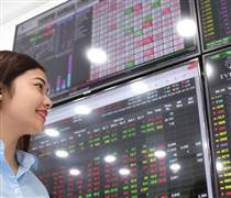 Thị trường chứng khoán “chững lại” trong phiên sáng 21/5