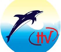 HVG: Quyết định về việc duy trì diện đình chỉ giao dịch và Thông báo về trạng thái chứng khoán của cổ phiếu HVG trên hệ thống giao dịch Upcom