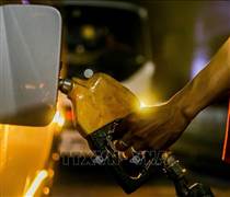 Giá dầu thế giới tăng hơn 1% sau cuộc họp của OPEC+