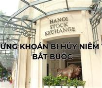 Hủy bỏ niêm yết bắt buộc cổ phiếu PCG từ ngày 26/6/2025