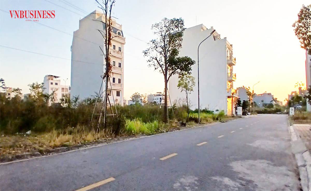 AI NEWS - Nền tảng tin tức chứng khoán