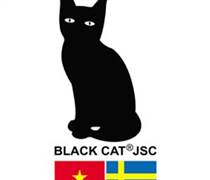 BMK: Báo cáo tài chính năm 2024
