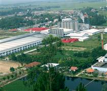 BSL: Lợi nhuận sau thuế quý I/2025 tăng mạnh bất chấp doanh thu sụt giảm