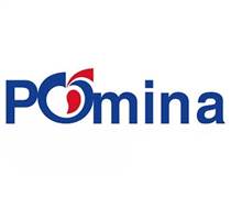 POM: Báo cáo tài chính quý 1/2025