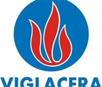 VGC: Nghị quyết HĐQT về việc bầu Chủ tịch HĐQT và Biên bản họp BKS về việc bầu Trưởng Ban kiểm soát